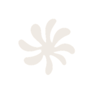 Amulen Creative Studio